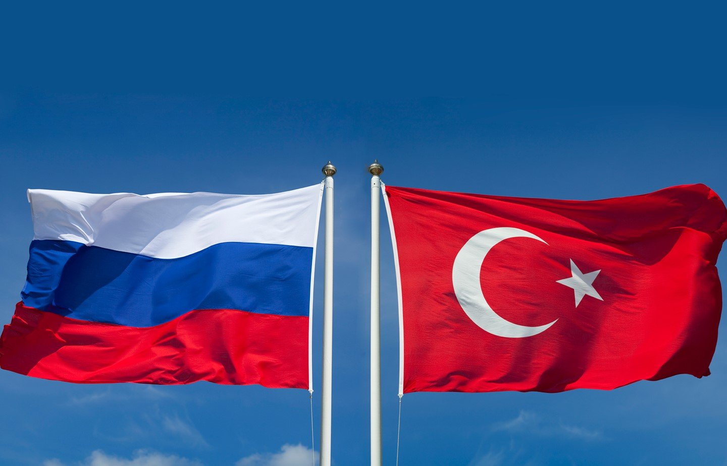 Export of cocoa powder to Russia