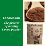 The process of making Cocoa powder