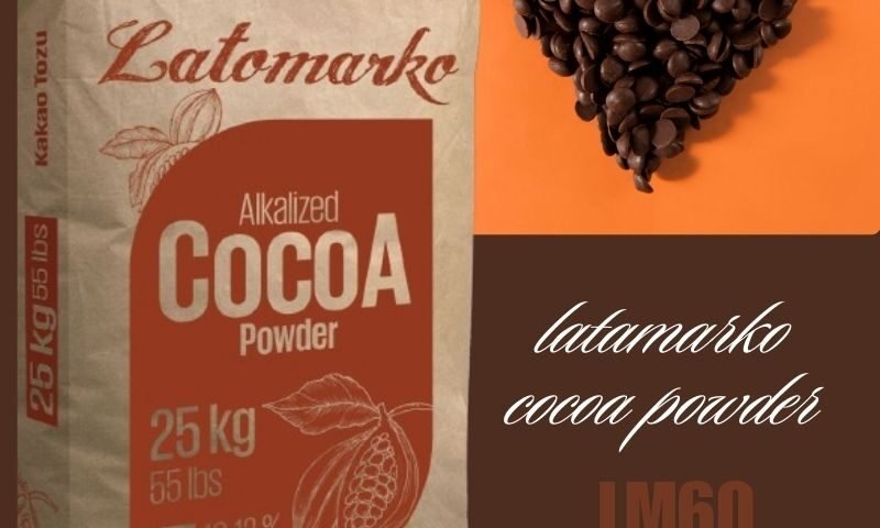 professional cocoa ingredients