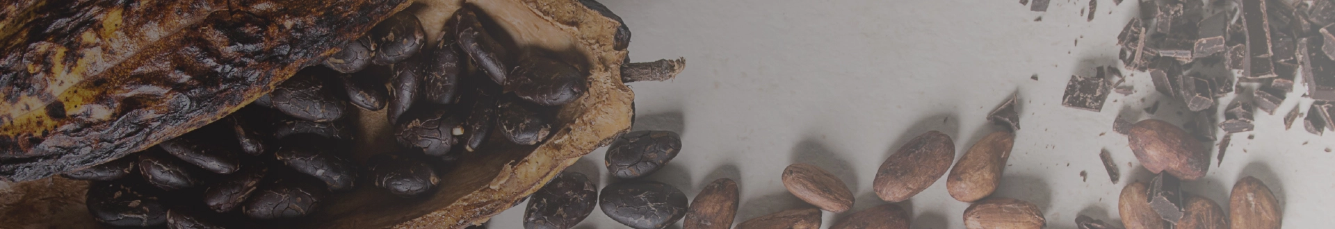 industrial cocoa powder manufacturing process industrial cocoa powder manufacturing process