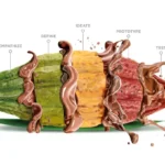 cocoa powder fat content control