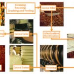cocoa powder particle size distribution