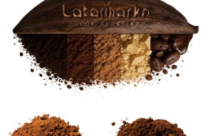 Cocoa Powder for Industrial Use