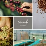 Green Coffee Beans