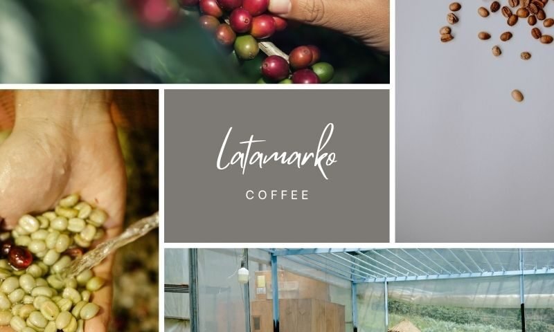 Green Coffee Beans