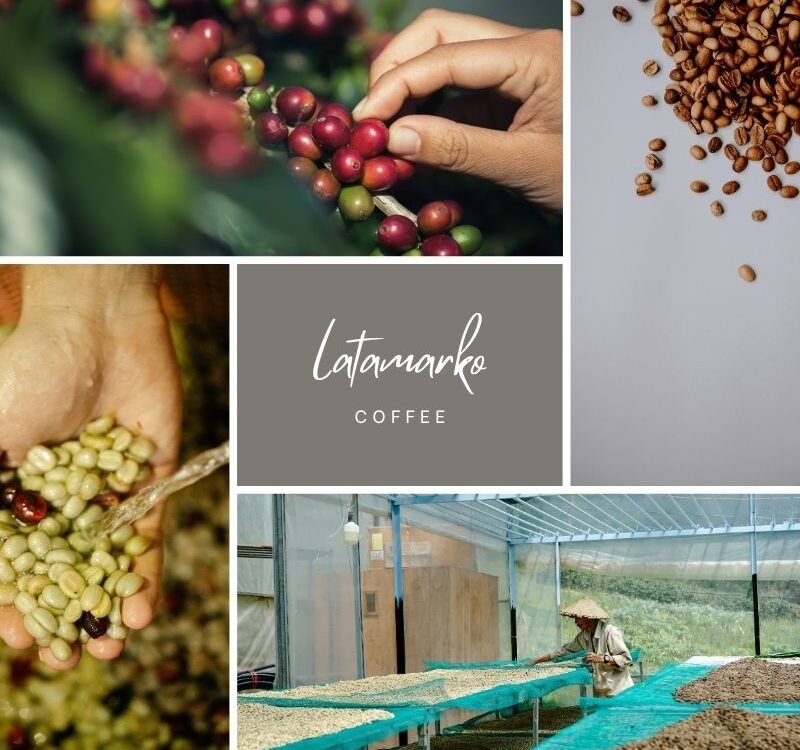 Green Coffee Beans