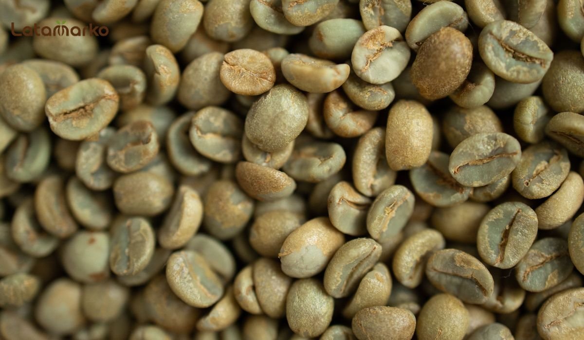 Green Coffee Beans