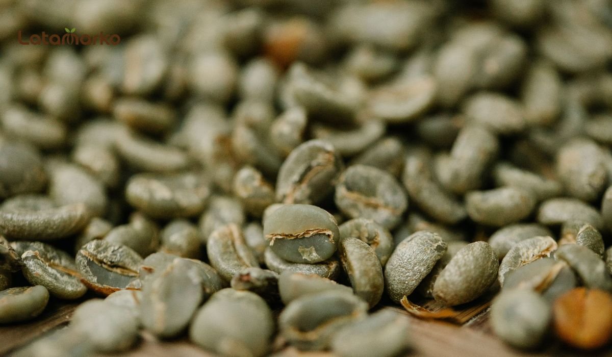 Green Coffee Beans