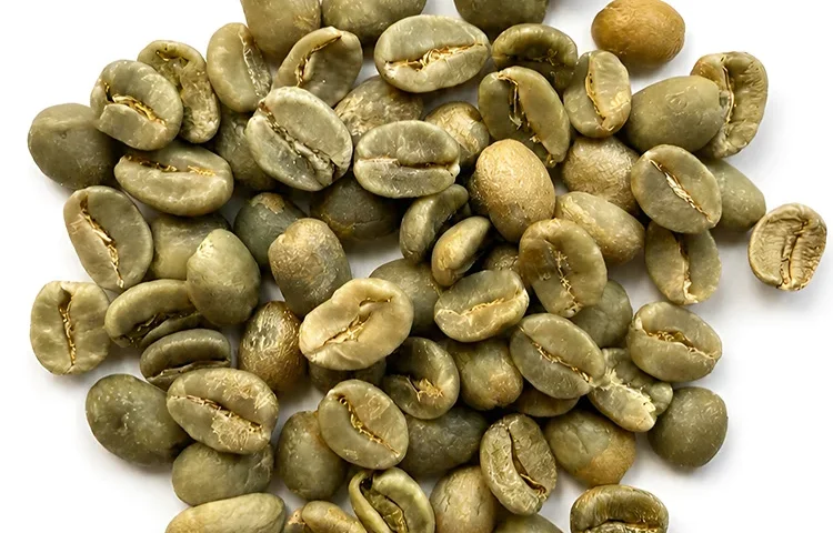Colombian Green Coffee Beans for Professional Roasters