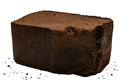 Cocoa Liquor