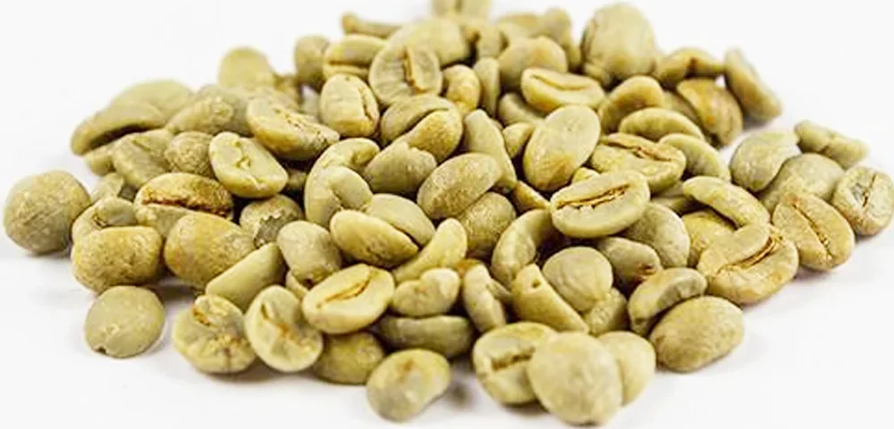 Brazil Green Coffee From Origin to Roastery