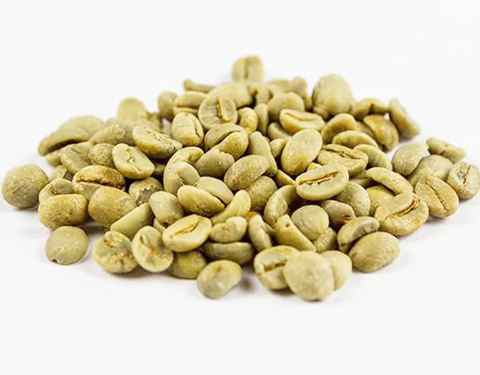 Brazil Green Coffee From Origin to Roastery