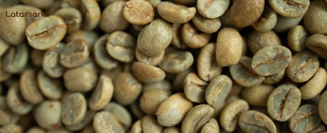 Honduras Green Coffee: High-Grown Arabica for Roasters