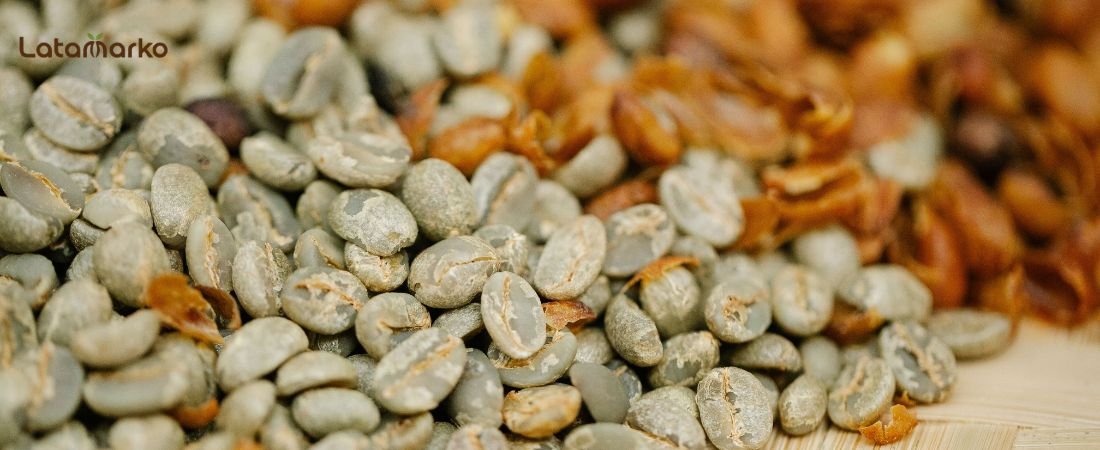 Honduras Green Coffee: High-Grown Arabica for Roasters