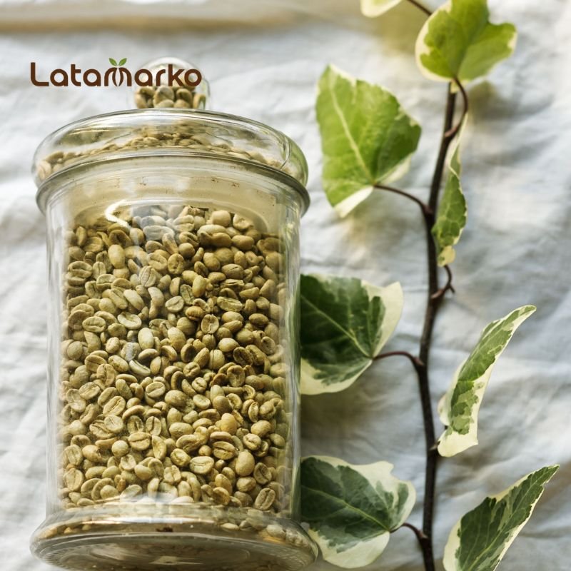 Vietnam Green Coffee: The Power of Robusta Vietnam Green Coffee: The Power of Robusta