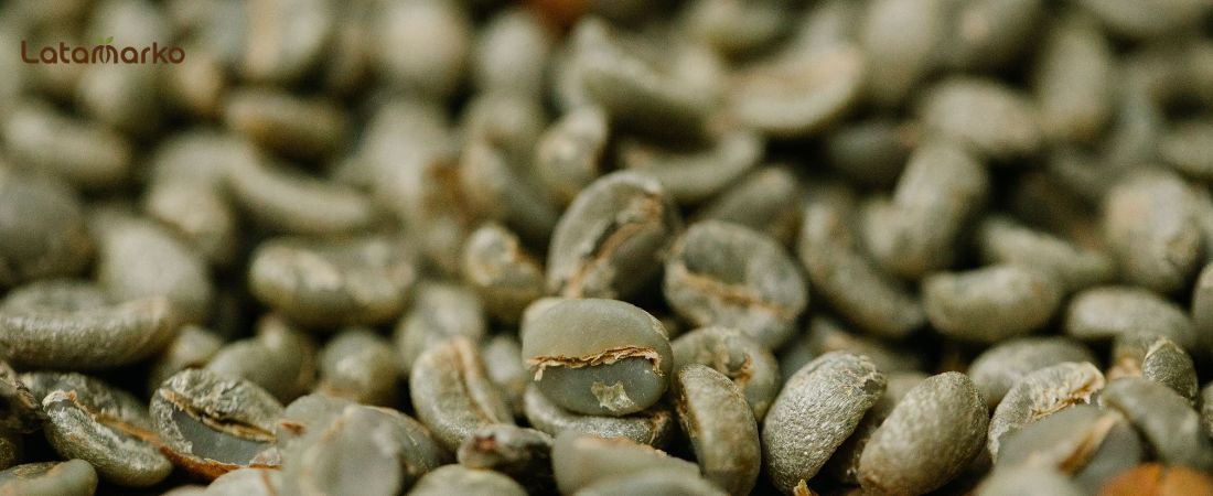 Honduras Green Coffee: High-Grown Arabica for Roasters