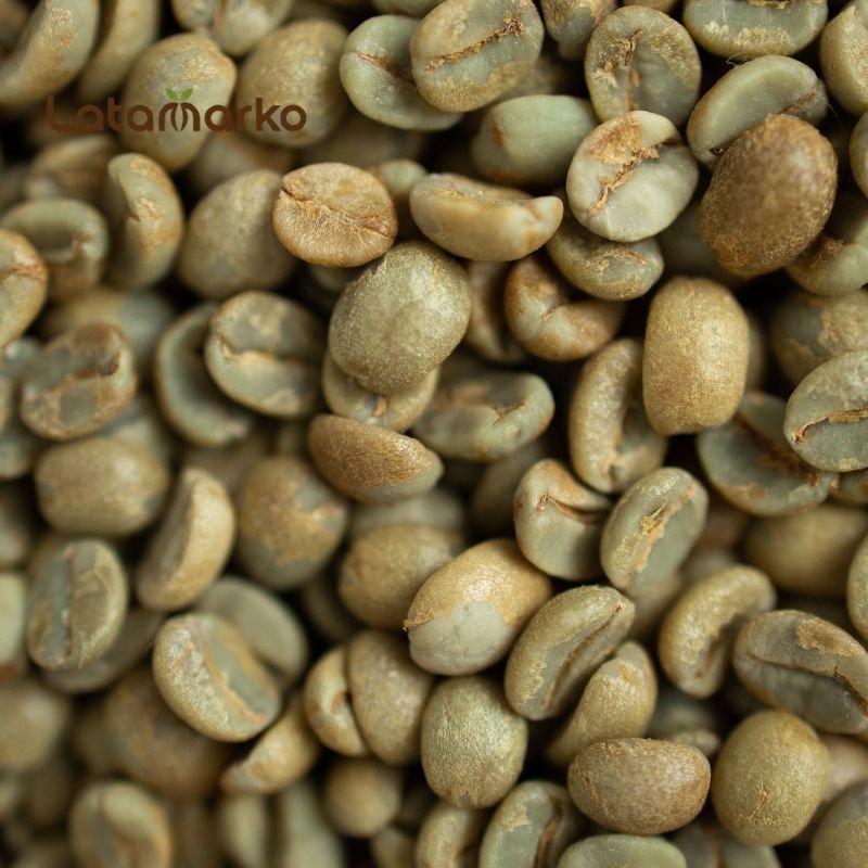Vietnam Green Coffee: The Power of Robusta Vietnam Green Coffee: The Power of Robusta