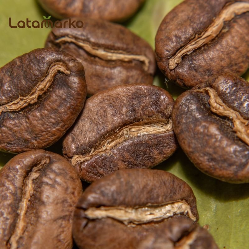 Vietnam Green Coffee: The Power of Robusta Vietnam Green Coffee: The Power of Robusta