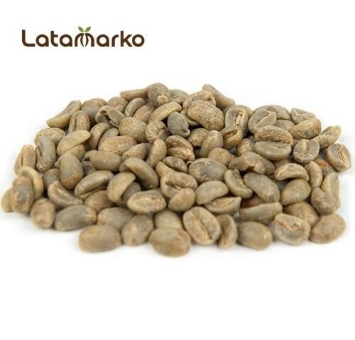 Honduras Green Coffee: High-Grown Arabica for Roasters