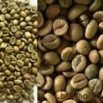 Indian Green Coffee for Global Coffee Markets