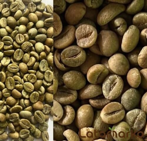 Indian Green Coffee for Global Coffee Markets
