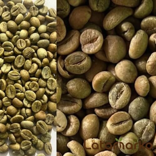 Indian Green Coffee for Global Coffee Markets