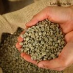 Uganda Green Coffee: Premium Arabica & Robusta Supply