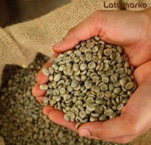 Uganda Green Coffee: Premium Arabica & Robusta Supply