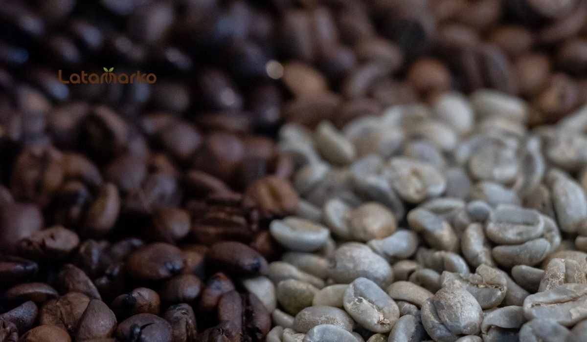 Indonesian Green Coffee for Distinctive Coffee Blends