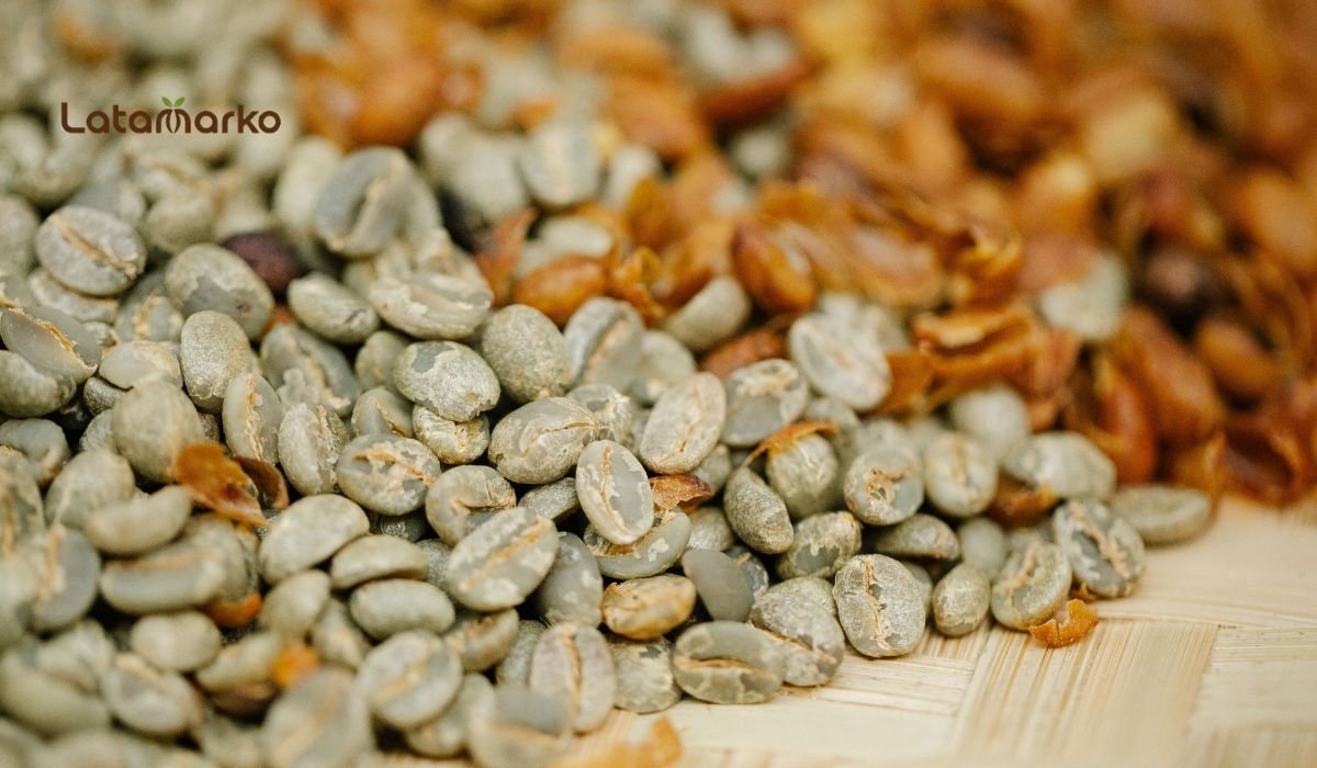 Indonesian Green Coffee for Distinctive Coffee Blends