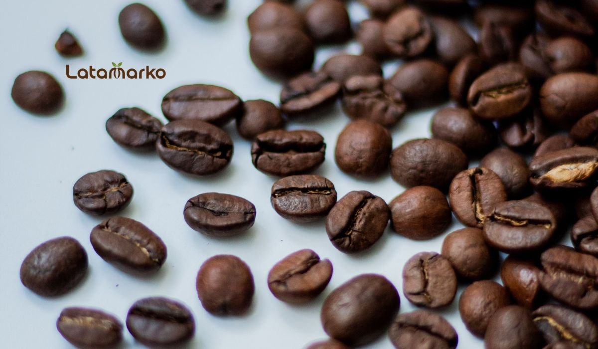 Brazil Green Coffee From Origin to Roastery