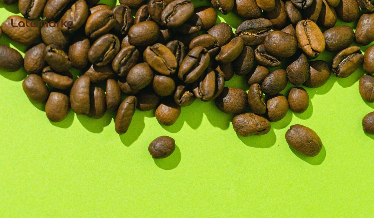 Indian Green Coffee for Global Coffee Markets Indian Green Coffee for Global Coffee Markets