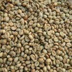 Vietnam Green Coffee: The Power of Robusta