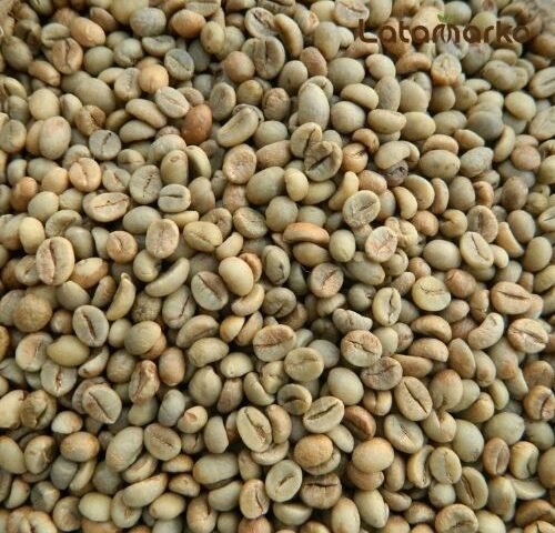 Vietnam Green Coffee: The Power of Robusta