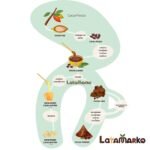 Cocoa Powder Manufacturer in Spain