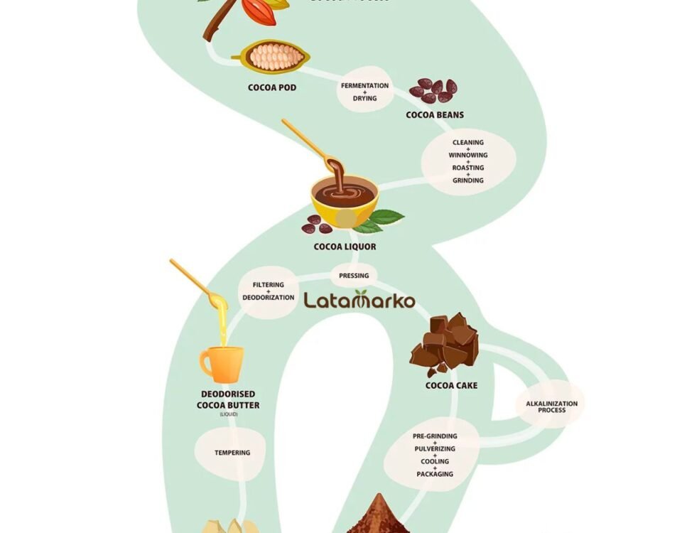 Cocoa Powder Manufacturer in Spain