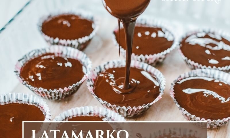Cocoa Powder for Compound Chocolate