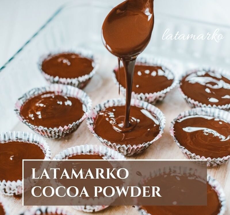 Cocoa Powder for Compound Chocolate