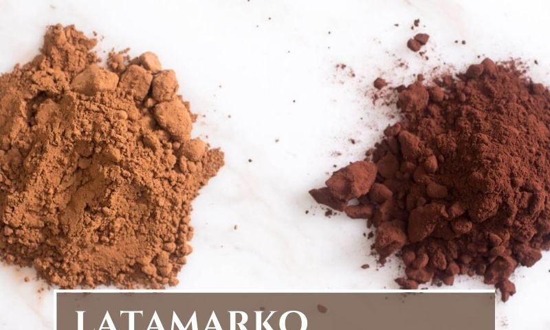 Alkalized Cocoa Powder Manufacturer in Spain