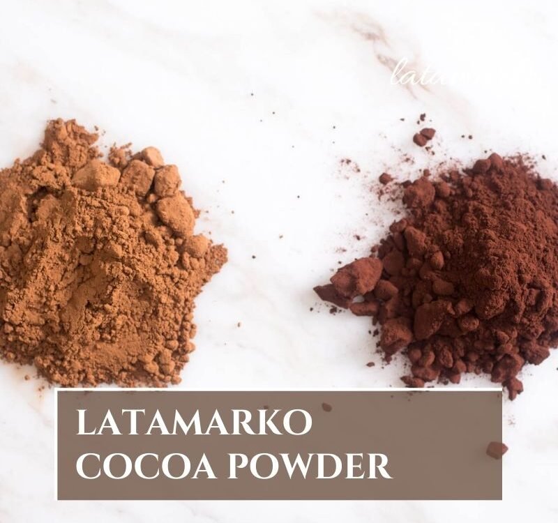 Alkalized Cocoa Powder Manufacturer in Spain