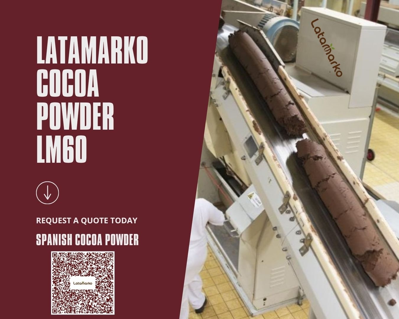bulk cocoa powder Spain