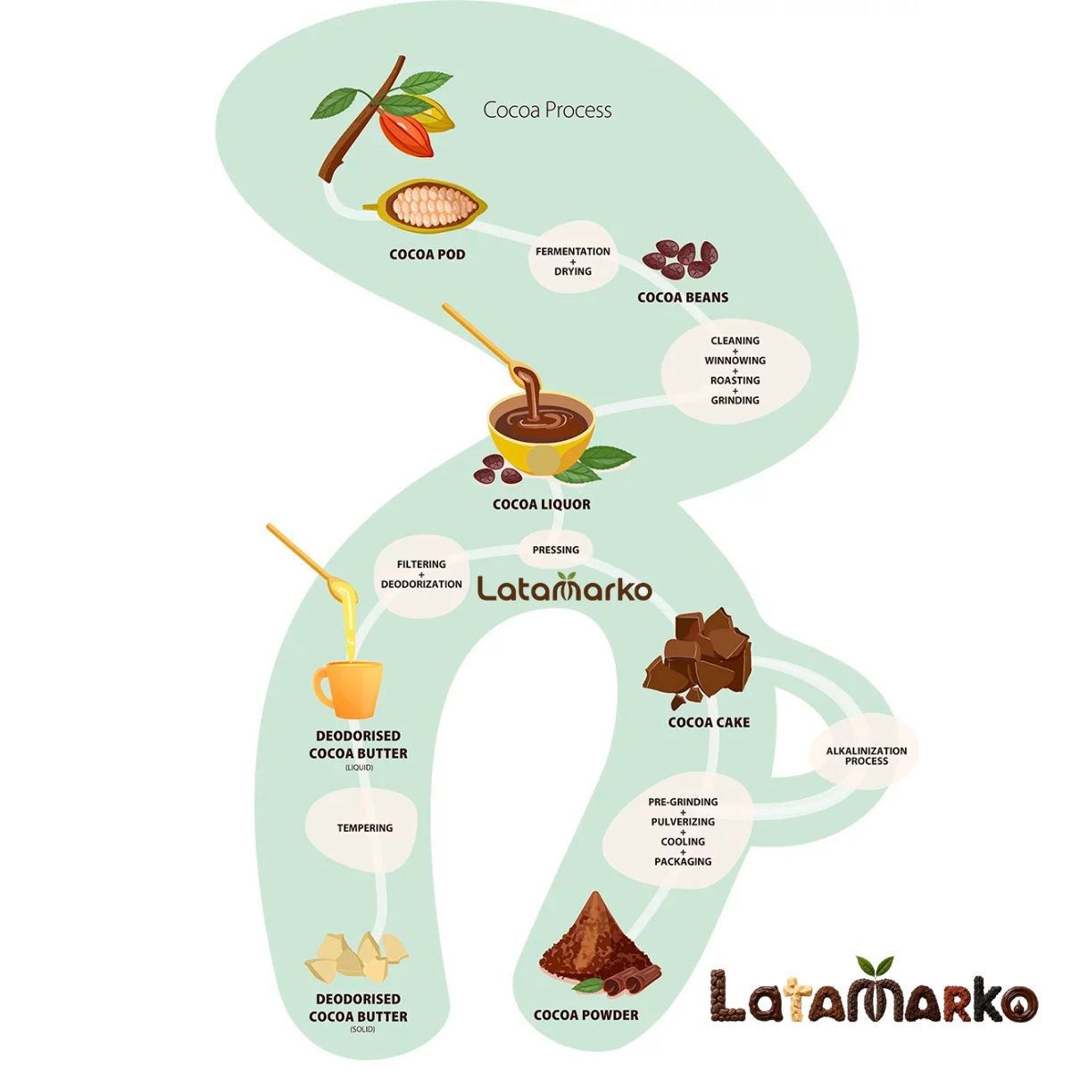 Cocoa Powder for Chocolate Manufacturing Cocoa Powder for Chocolate Manufacturing